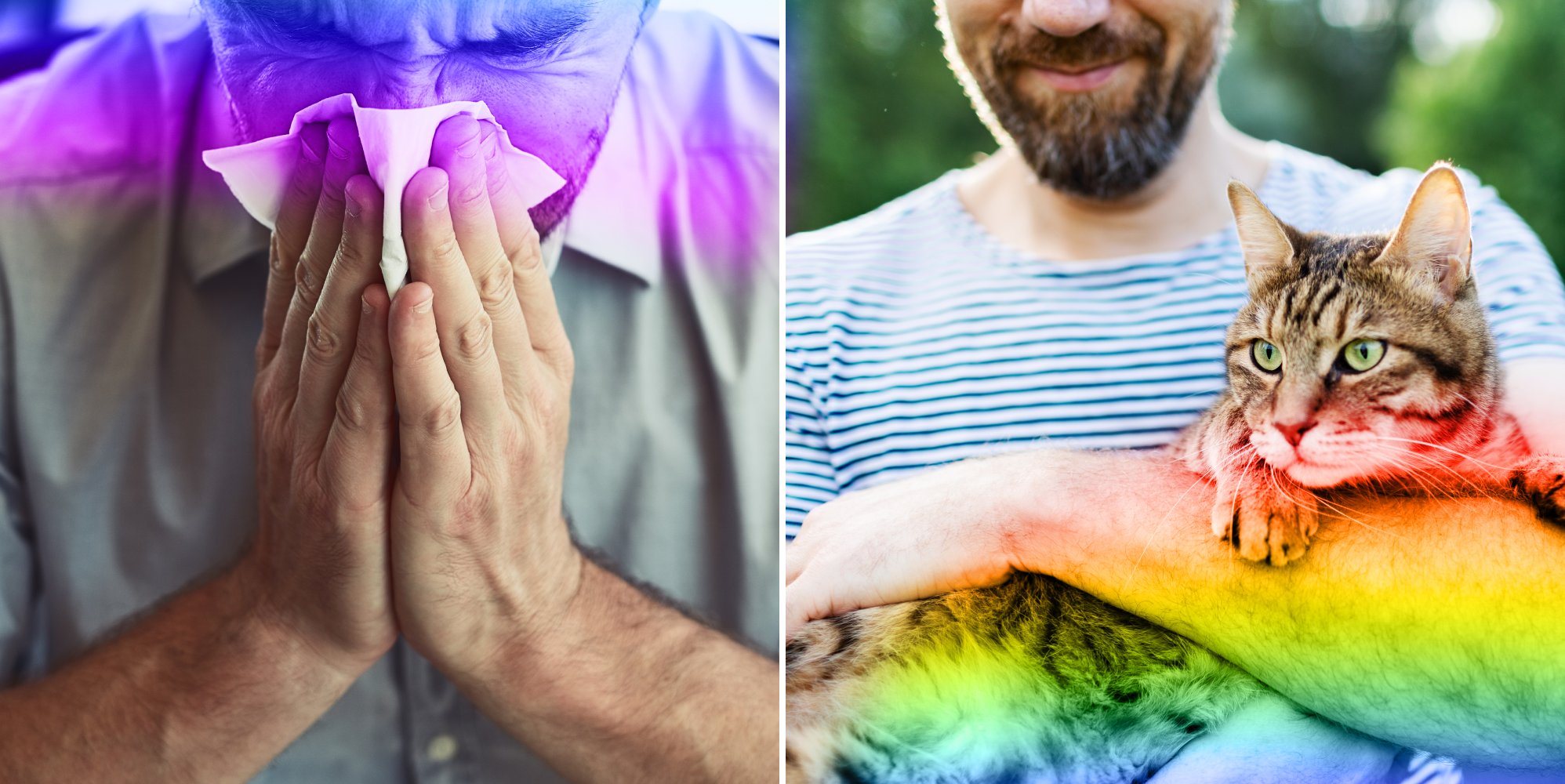 Internet's Wildest Claims About Being Gay