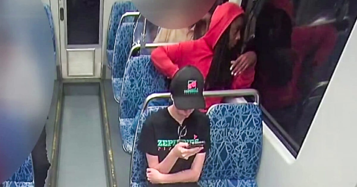 חשוד ברצח ברכבת הוכרז כלא כשיר לעמוד לדין