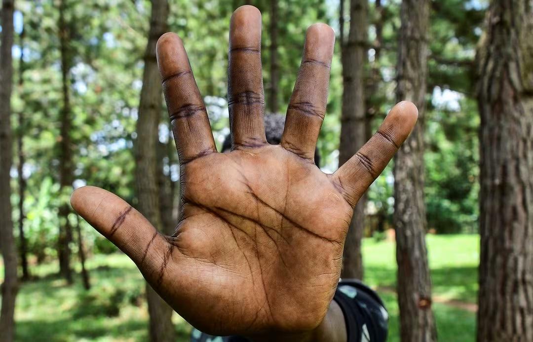 Uganda's Harsh Anti-LGBT Law Faces Legal Challenge: Activists' Fight for Justice