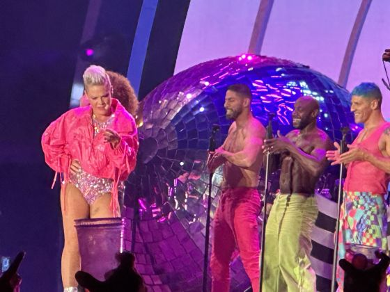 P!nk Enchants Chicago's Wrigley Field with Electrifying Performance